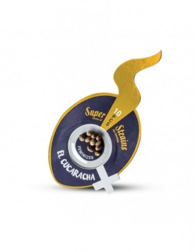 1 UND FEM - EL CUCARACHA 