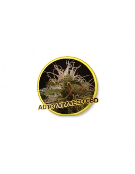 1 UND FEM - AUTO WINWEED CBD 