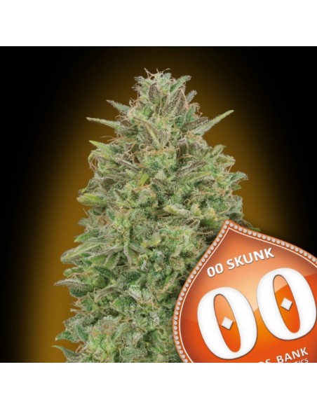 3 UND FEM - 00 SKUNK 