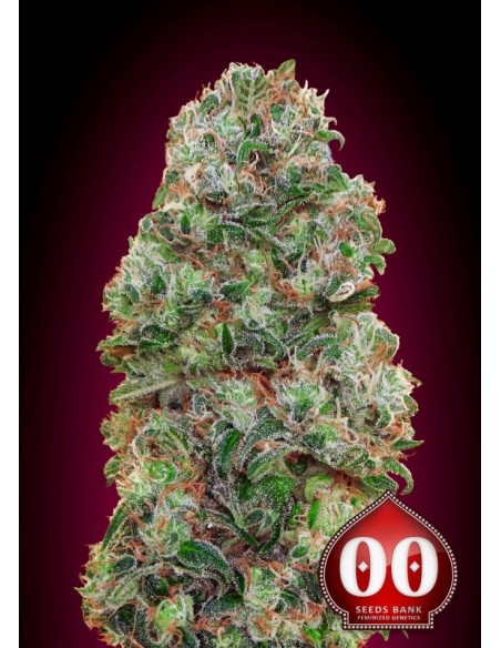 3 UND FEM - BUBBLE GUM 