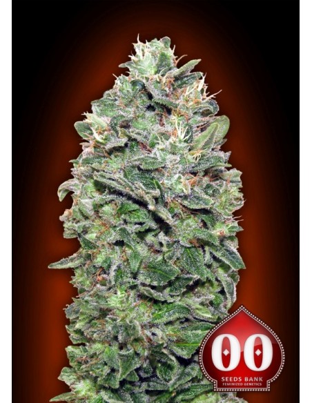 3 UND FEM - SWEET SOMA 