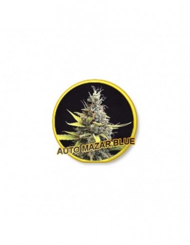 3 UND FEM - AUTO MAZAR BLUE 