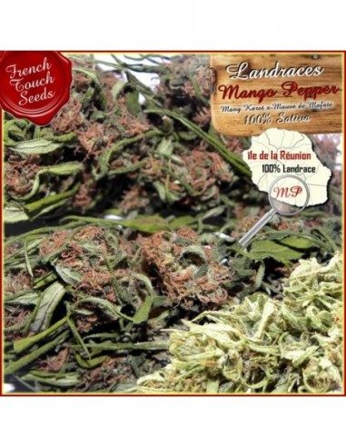 5 UND REG - MANGO PEPPER 