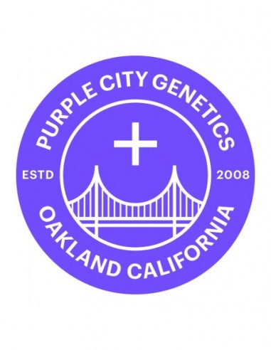 3 UND FEM - GELATO 33 X WATERMELON ZKITTLEZ - PURPLE CITY GENETICS 3 FEMINIZADAS