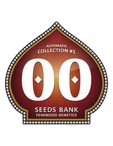 6 UND FEM - AUTOFLORACION COLLECTION 1 