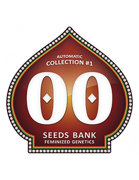 6 UND FEM - AUTOFLORACION COLLECTION 1 