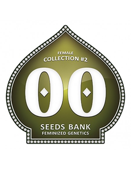 6 UND FEM - FEMALE COLLECTION 2 