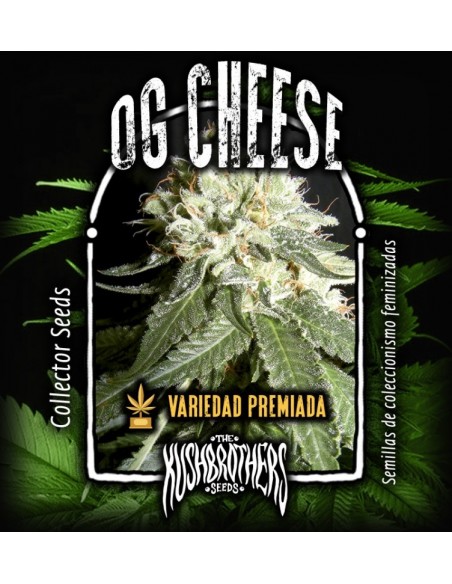 5 UND FEM - OG CHEESE 