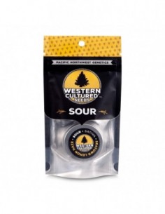 3 UND FEM - SEATOWN LEMON HAZE - SOUR - WESTERN CULTURED 3 FEMINIZADAS 2