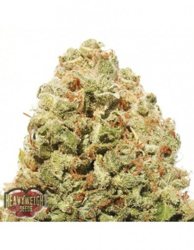 5 UND FEM - STRAWBERRY CAKE 