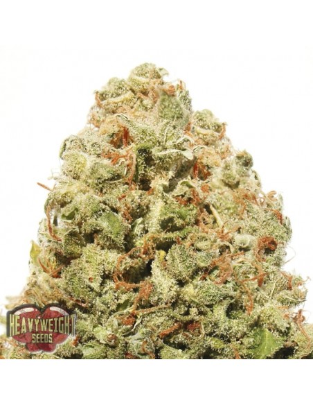 5 UND FEM - STRAWBERRY CAKE 