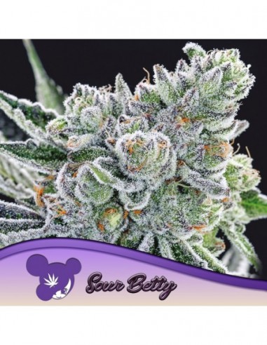 3 UND FEM - SOUR BETTY 