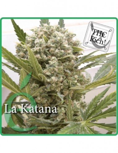 7 UND FEM - LA KATANA 