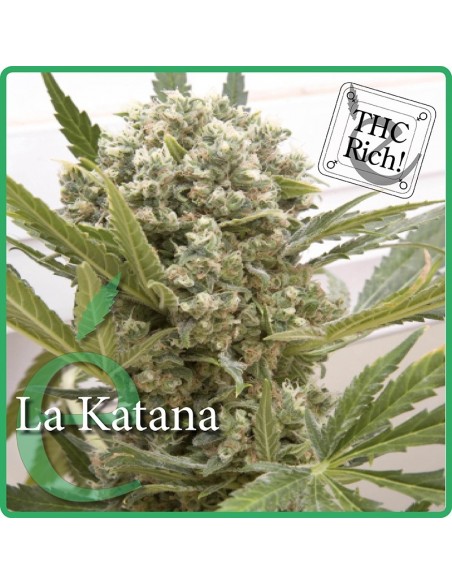 7 UND FEM - LA KATANA 