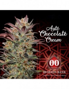 25 UND FEM - AUTO CHOCOLATE CREAM 