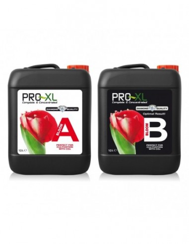 BLOOM A&B 10L  FERTILIZANTES PRO-XL