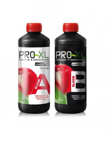 BLOOM A&B 1L  FERTILIZANTES PRO-XL