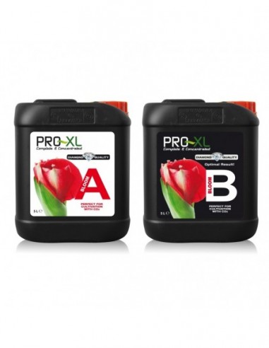 BLOOM A&B 5L  FERTILIZANTES PRO-XL