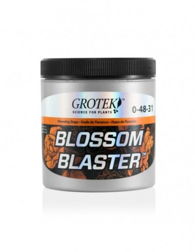 BLOSSOM BLASTER 130 GRS GROTEK