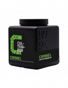 CAMAEL 1.25L * THE HYPE COMPANY