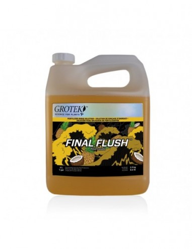 FINAL FLUSH PIÑA 4 L GROTEK
