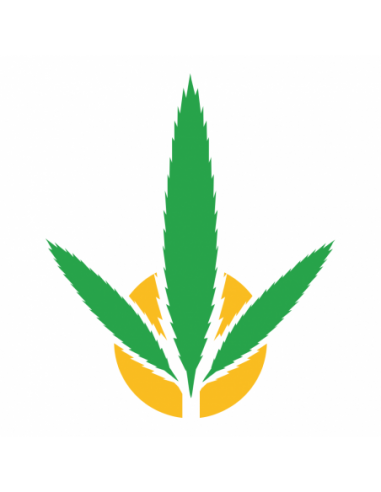 JUICY JAY HEMP BLUNT BLUE BLUEBERRY 25 SOBRES DE 2 UNIDADES  BLUNT