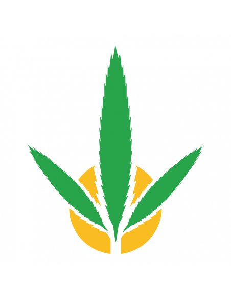 JUICY JAY HEMP BLUNT MANIC MANGO-PAPAYA 25 SOBRES DE 2 UNIDADES  BLUNT
