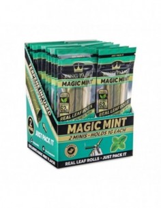 KING PALM DISPLAY BOX 20 SOBRES (2 X MINI) MAGIC MINT