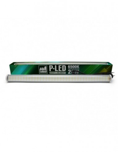 P LED 26 W 6500K CRECIMIENTO/GROWTH