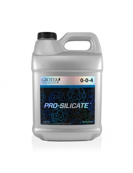 PRO SILICATE 10 L. GROTEK