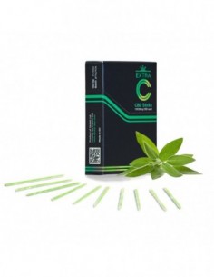 SAGE STICK 10 UNIDADES   STICKIT