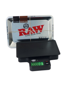 BASCULA RAW T SC-1000