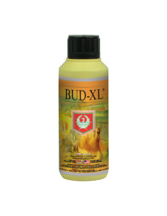 BUD XL 250ML HOUSE & GARDEN