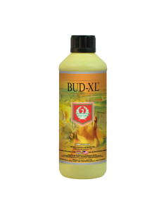 BUD XL 500ML HOUSE & GARDEN
