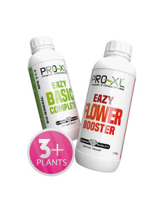 EAZY PACK BASIC + BOOSTER