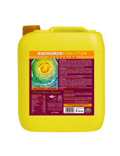 BACHUMUS EVOLUTION FLORACION 5 L.
