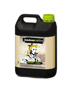 MARIA GREEN SUGAR CLEAN 5L