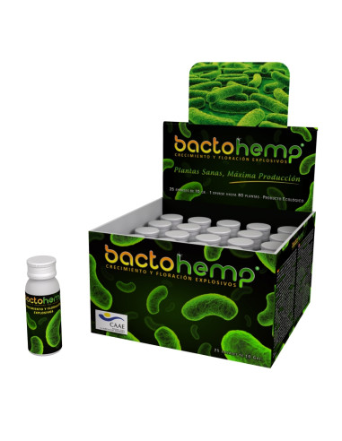 BACTOHEMP (15X10 GR)