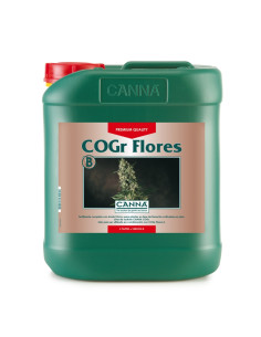 C.COGR FLORES B 5 L.