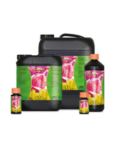 ATA PK 13-14  1 L. 2