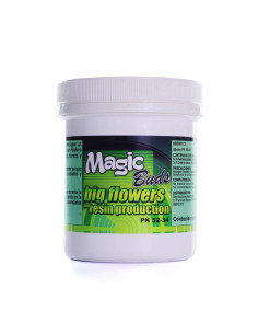 MAGIC BUDS PK 52-34 (600 GR)