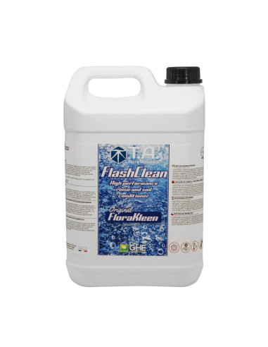 FLASH CLEAN 5 L