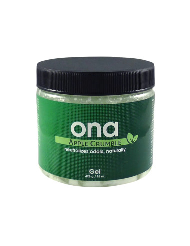 ONA GEL 400 GR APPLE CRUMBLE