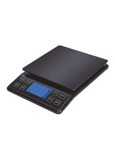 PURE SCALE - CRUISERWEIGHT (5 KG X 0.1 GR)