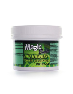 MAGIC BUDS PK 52-34 (150 GR)