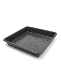 PLATO CUADRADO PURE FACTORY 25X25CM (20 UND)