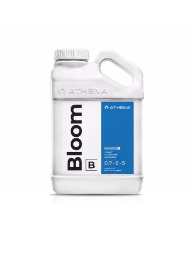 ATHENA - BLOOM B 3.78L
