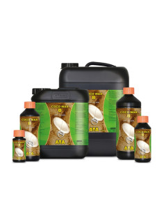 ATA COCO MAX B 5 L 2