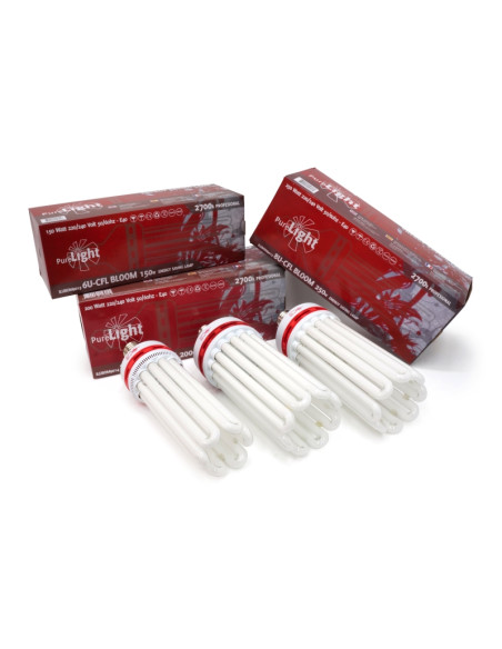 KIT PURE LIGHT CFL 250 W BLOOM (2700K)