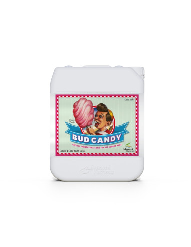BUD CANDY 5L
